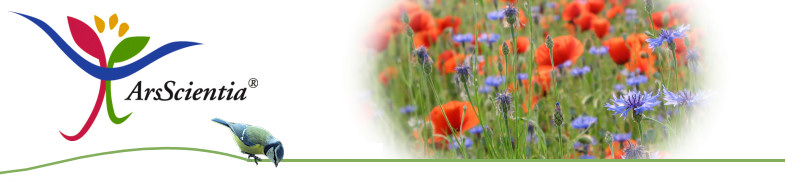 Logo ArsScientia: Individuelle Beratung und Seminare, Vitametik, Heilpraxis und Gut Wichtelfleiß